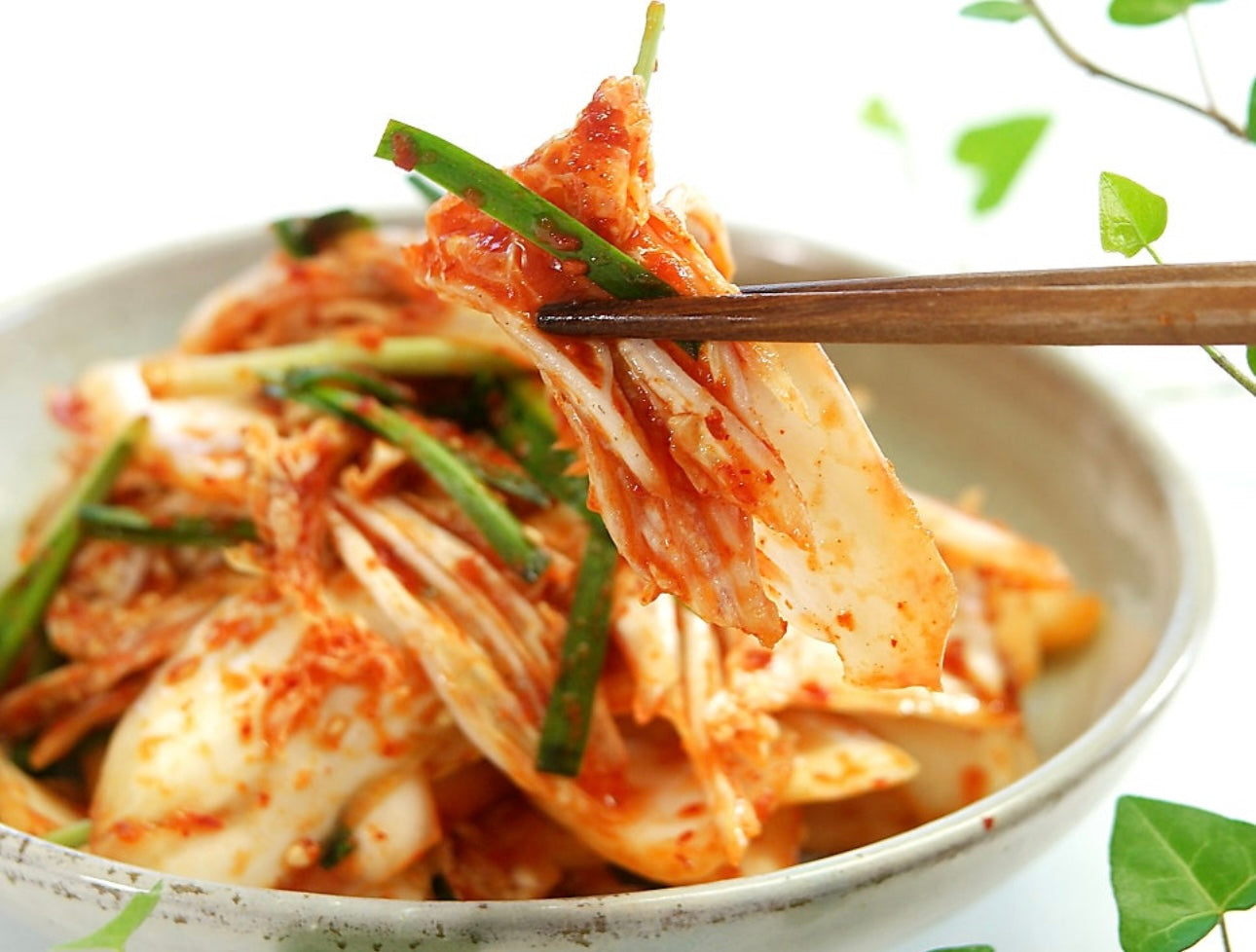 배추겉절이